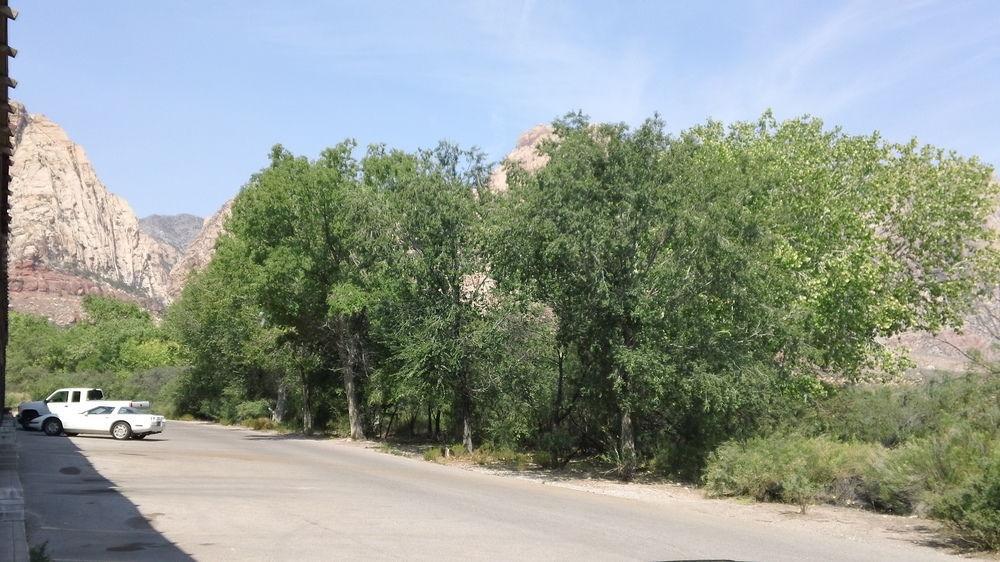 Bonnie Springs Ranch Motel Blue Diamond Luaran gambar