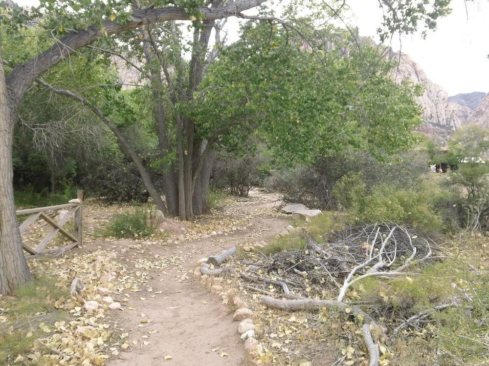 Bonnie Springs Ranch Motel Blue Diamond Luaran gambar